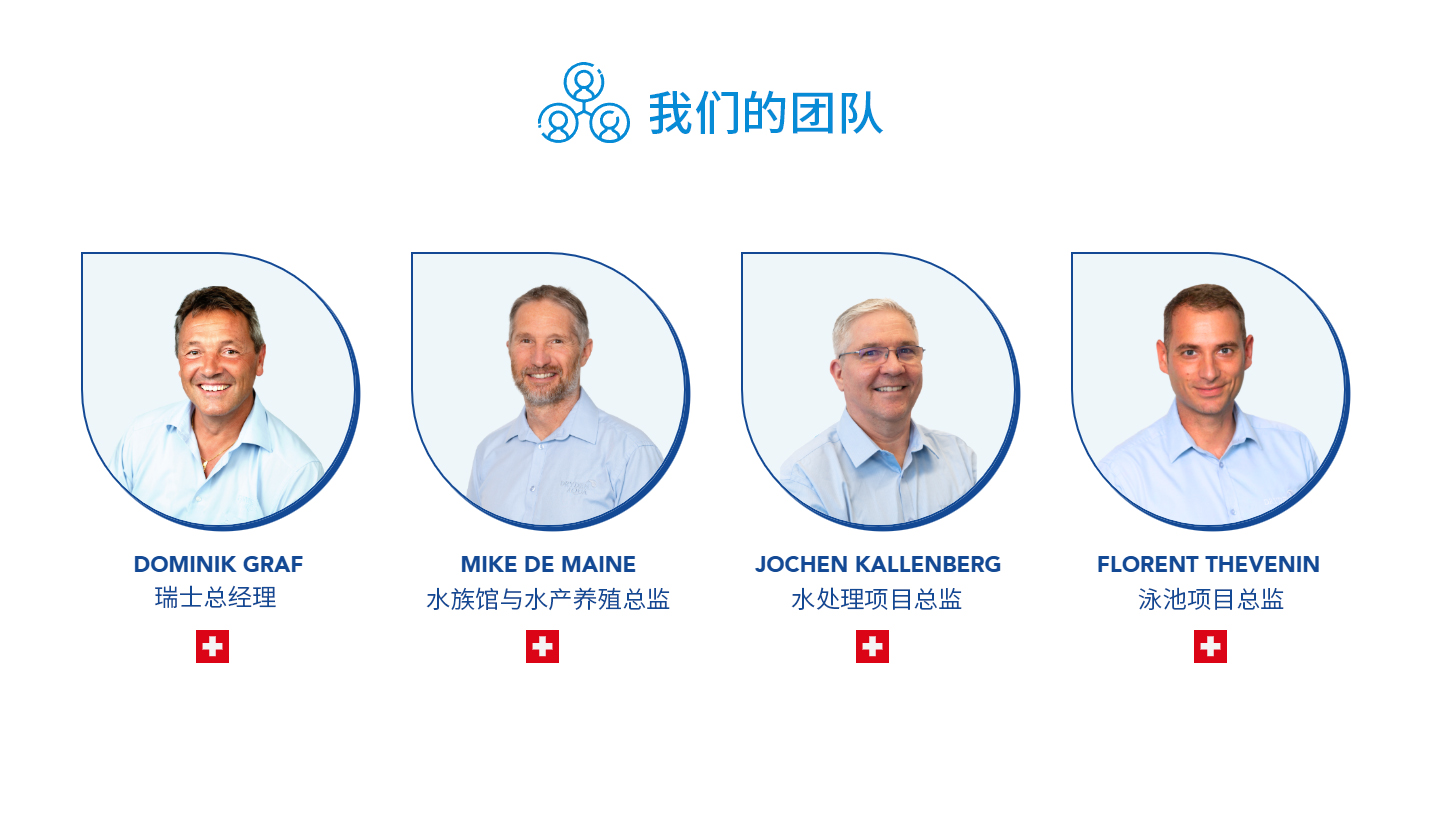 我们的团队