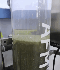 澳门原料大全1688