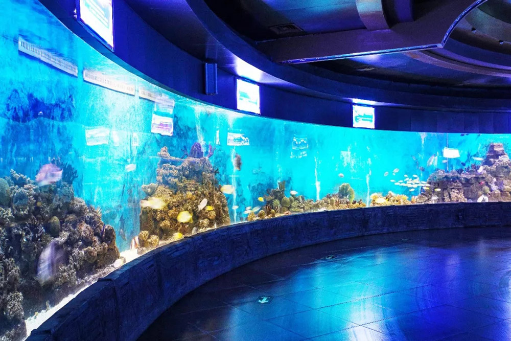 澳门原料大全1688