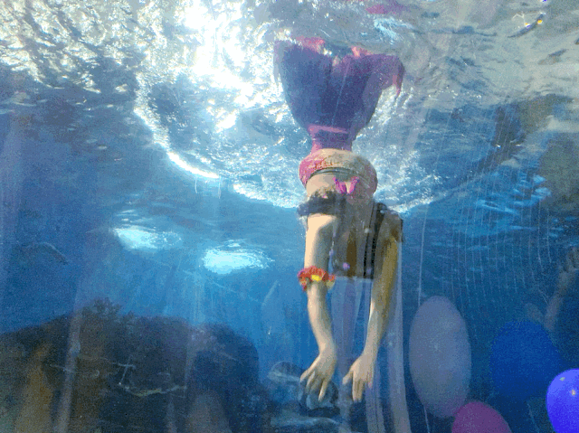 澳门原料大全1688