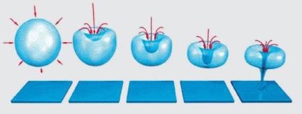 澳门原料大全1688