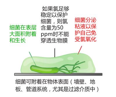 澳门原料大全1688