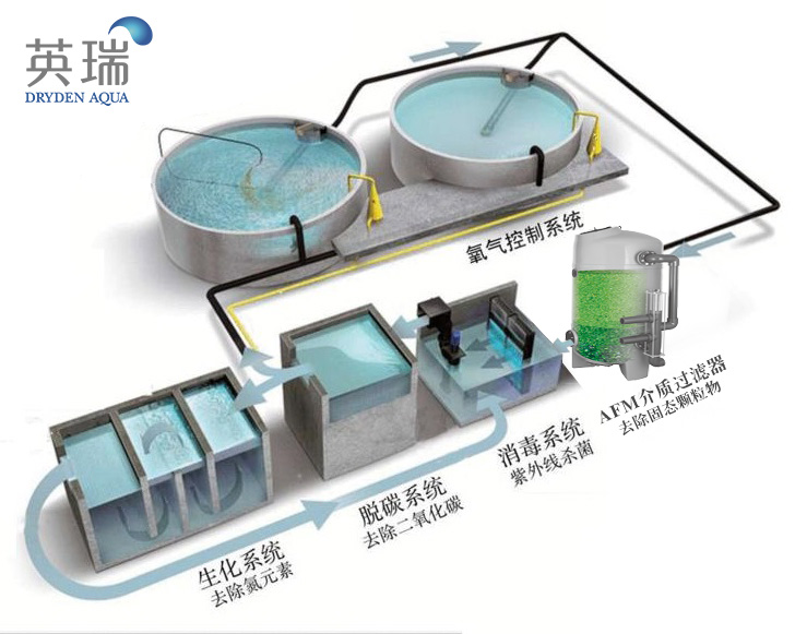 澳门原料大全1688