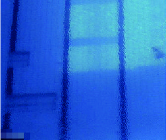 澳门原料大全1688