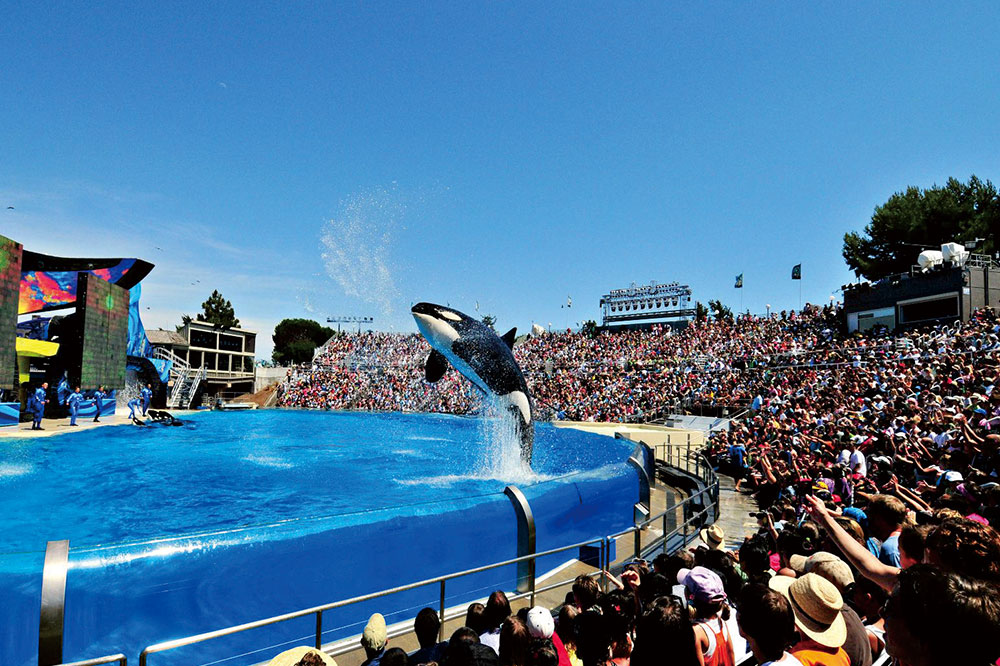 澳门原料大全1688