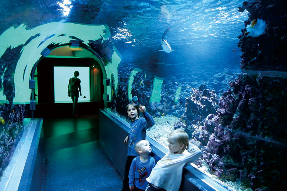 澳门原料大全1688