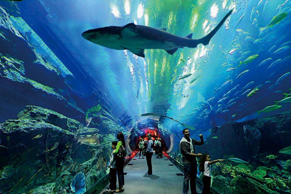 澳门原料大全1688