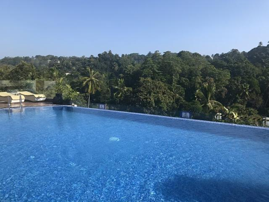 澳门原料大全1688