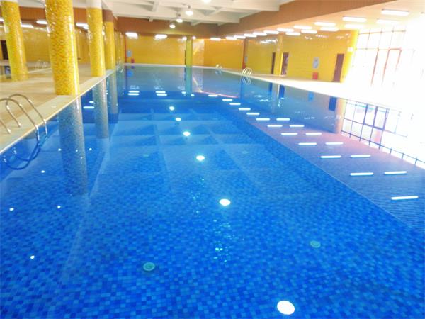 澳门原料大全1688